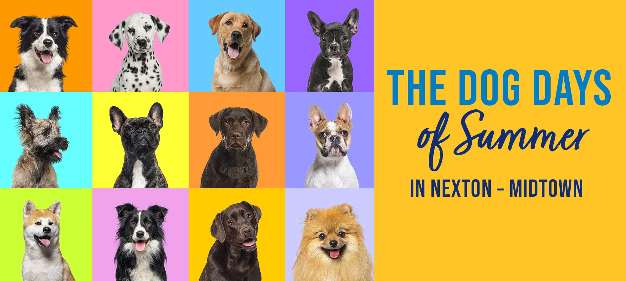 Pet Adoption Event in Nexton - Midtown