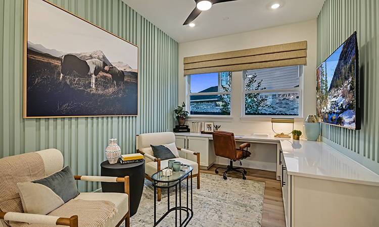 The Conroe - Study