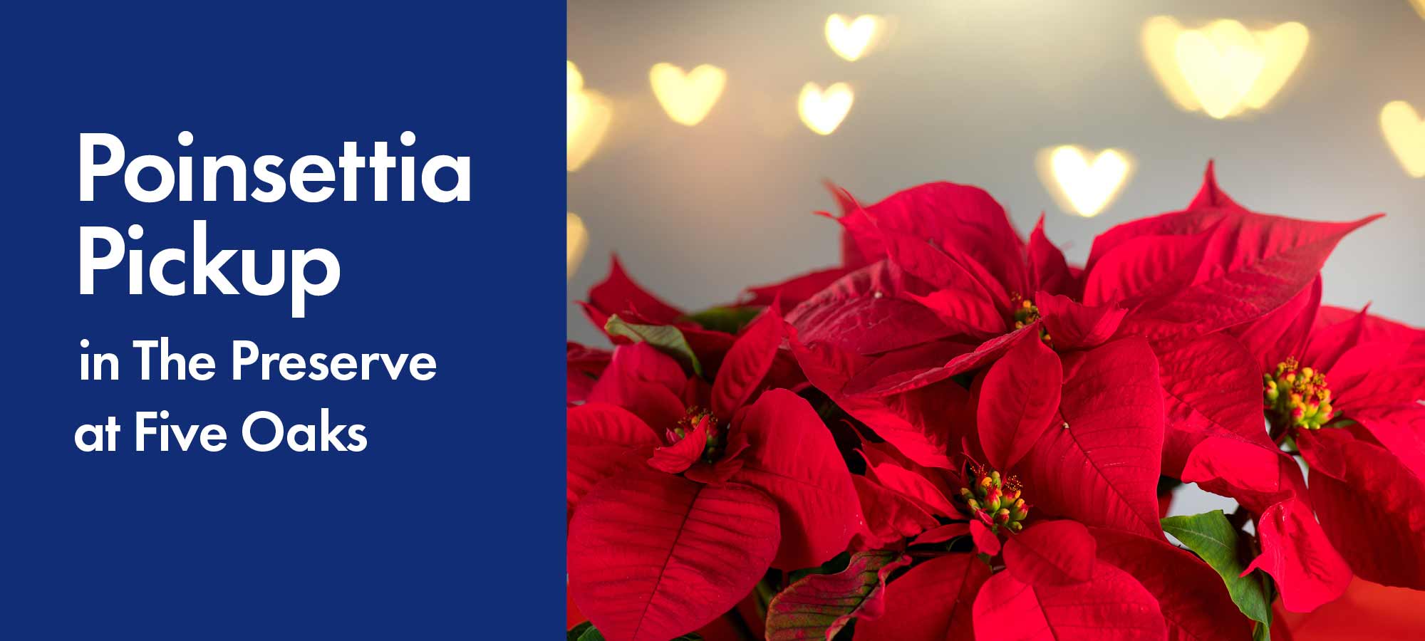 Join Us for Festive Fun in The Preserve at Five Oaks