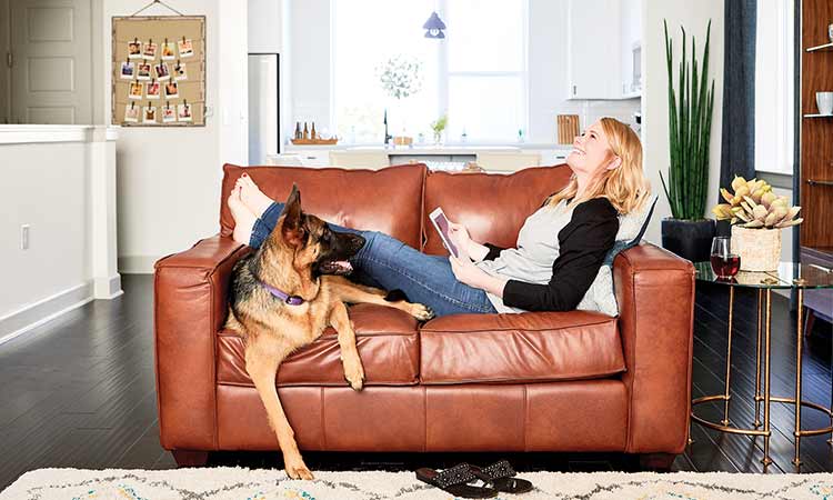 a woman sits on a couch with a dog