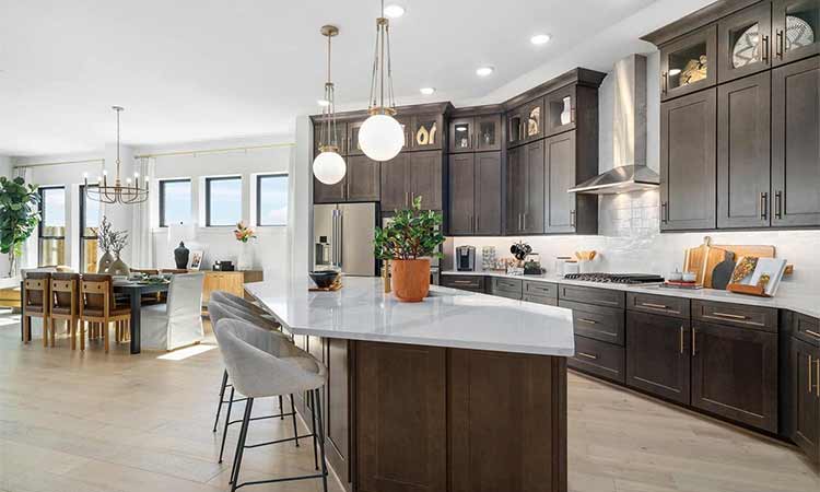 The Begonia - Kitchen