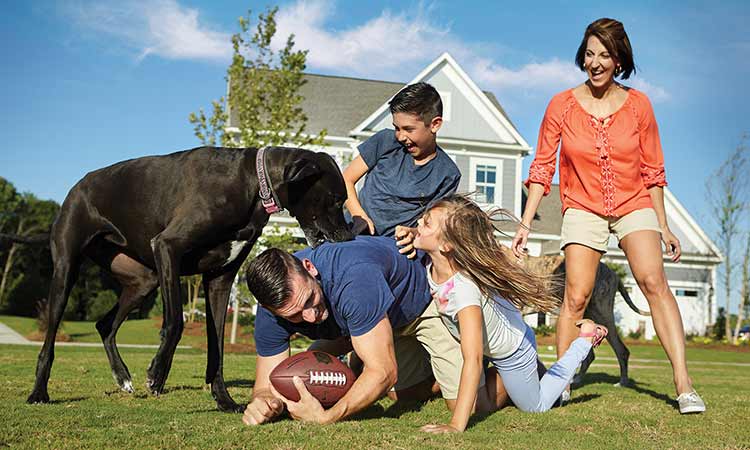 a man and a woman and two children play on a field with a dog