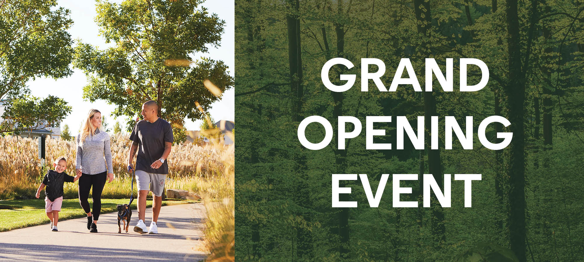 Discover the Beautiful Community of Wildlight