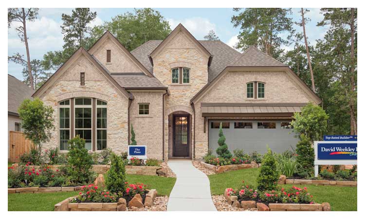 The Pinto in Grand Central Park