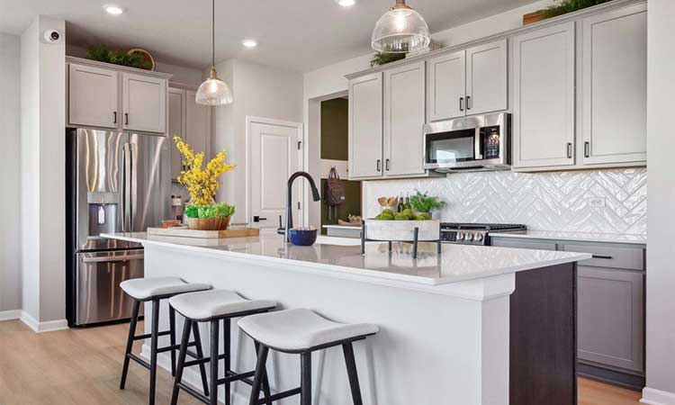 The Vermilion - Kitchen