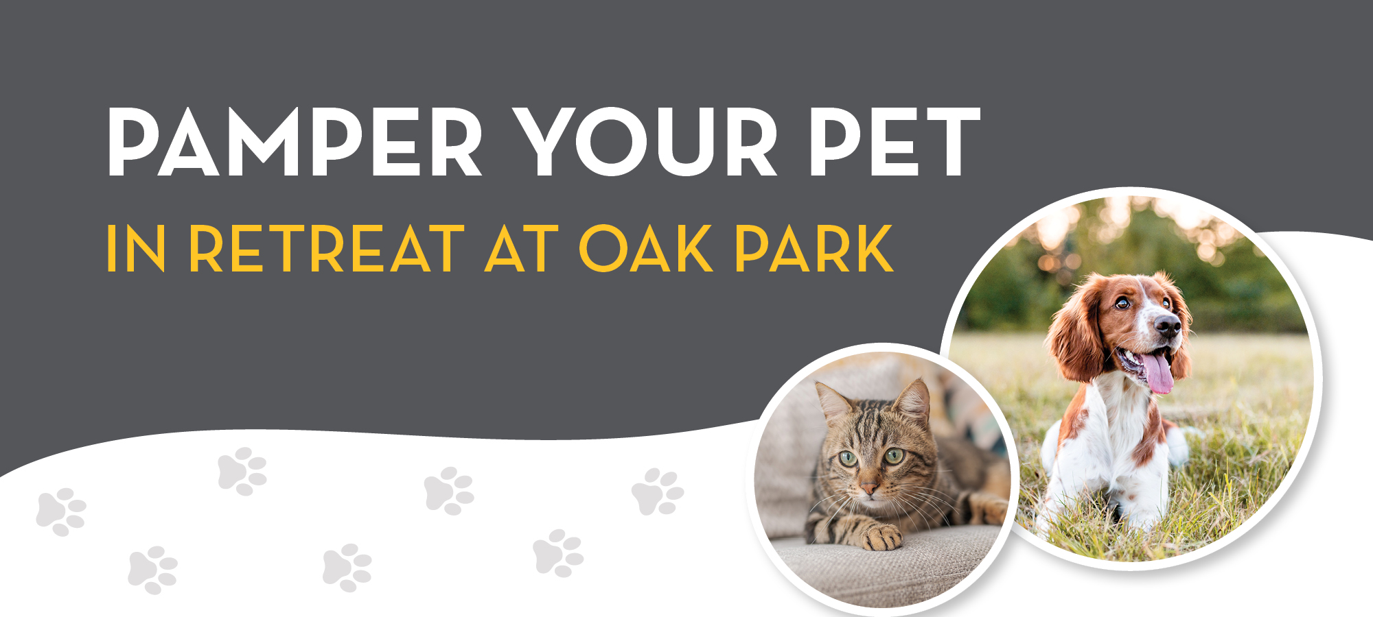 Join Us for a Fun Event in Houston, TX