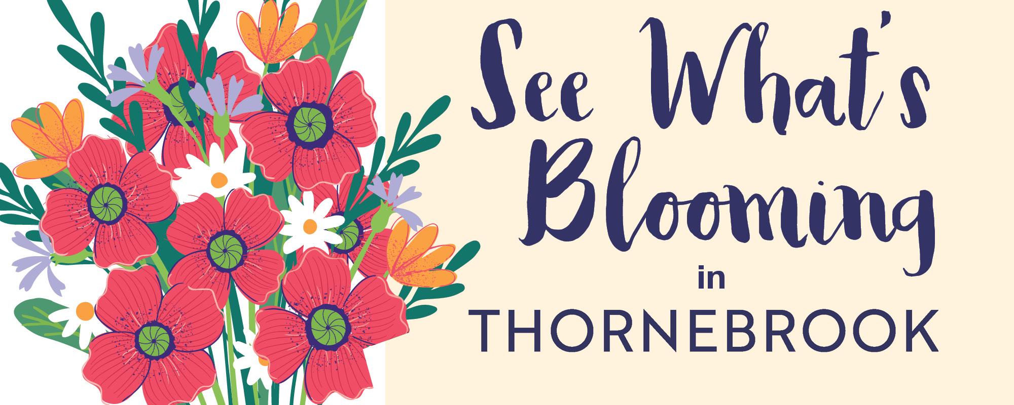 Grand Opening Event in Bulverde, TX