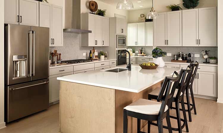 The Coralberry II - Kitchen