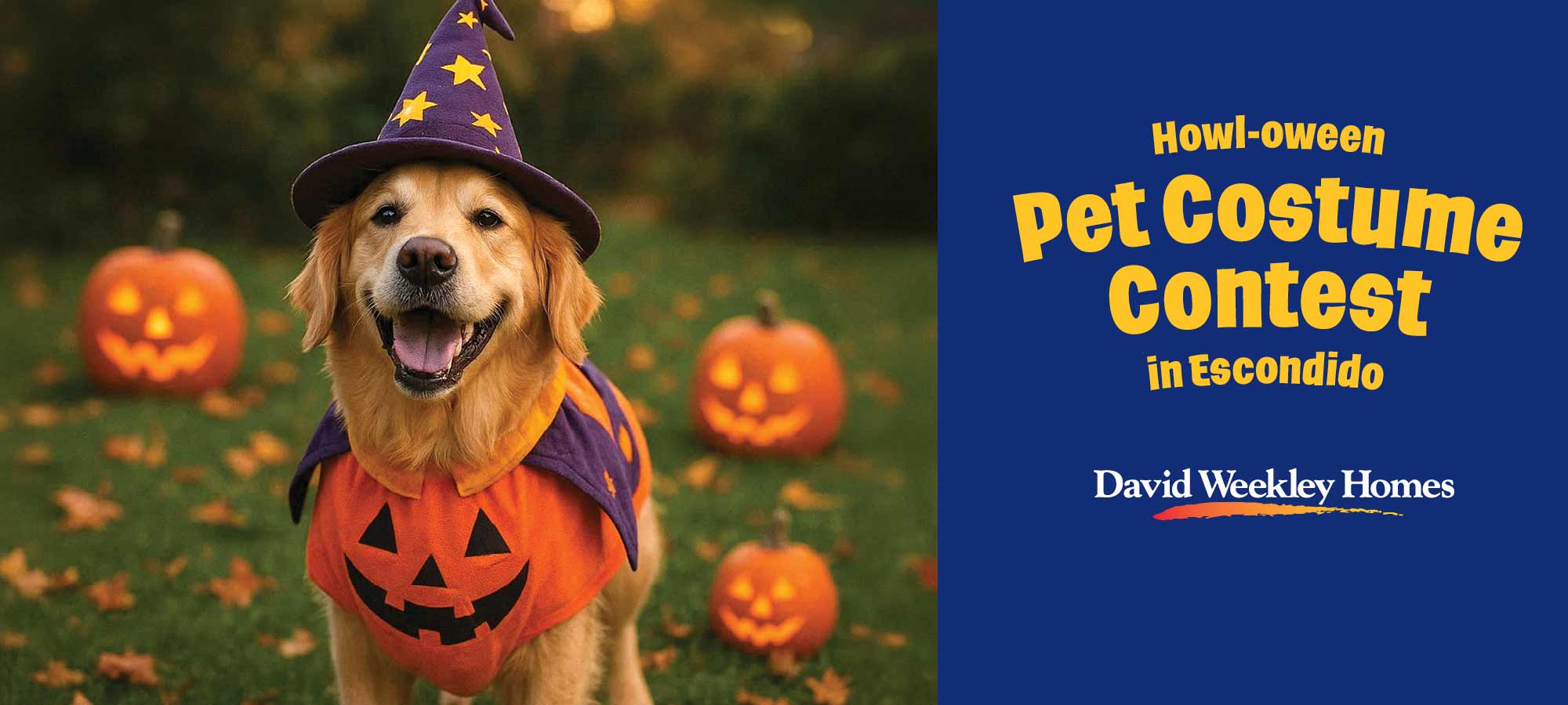 New Homes and a Pet-friendly Event in Magnolia, TX