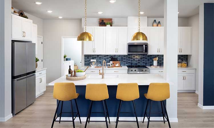The Zander - Kitchen