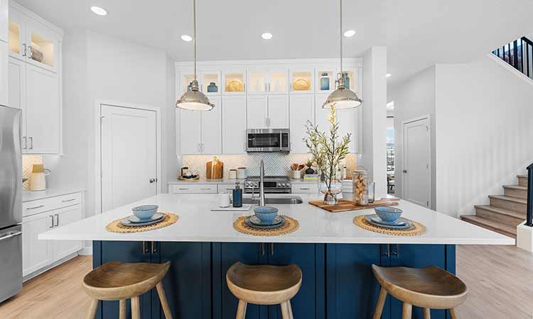 The Egret - Kitchen