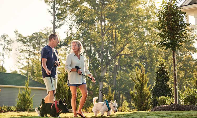 A man and a woman, walk dogs through a neighborhood along a grassy path with trees in the background