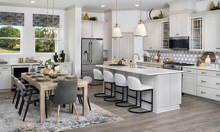 The Vibrant - Kitchen