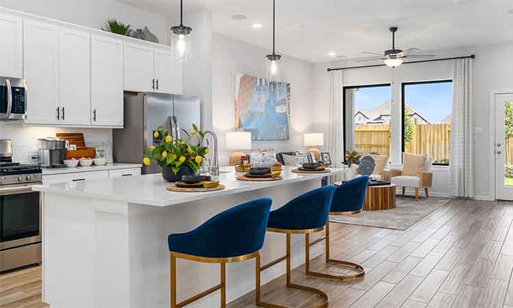 The Gardenia - Kitchen