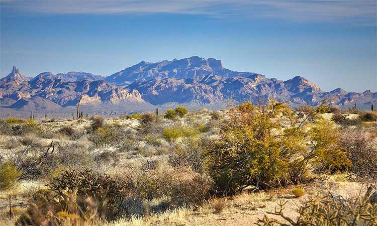 a view of the desert near Preserve Ranch