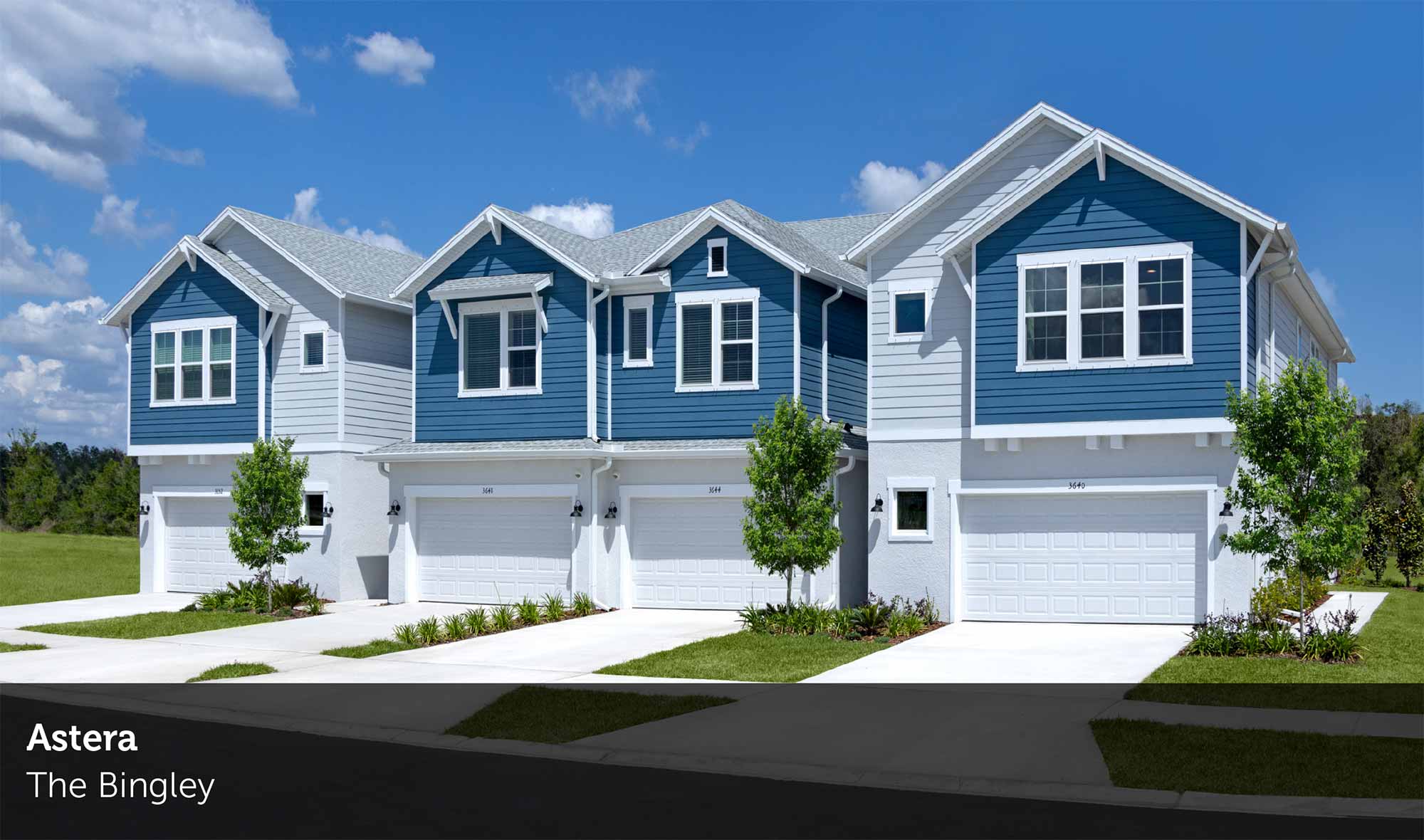 Astera - The Bingley Floorplan Rendering