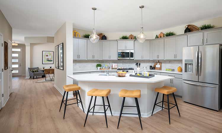 The Cavalier - Kitchen