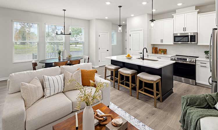 The Shadyvilla - Family Room and Kitchen