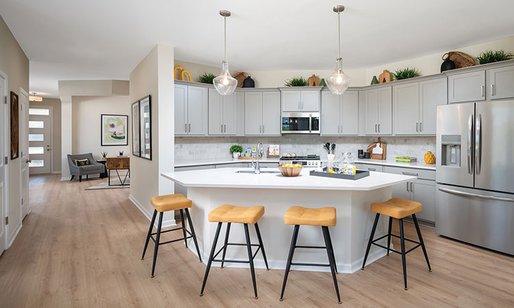 The Cavalier - Kitchen
